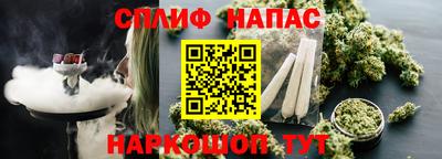 спайс Гусев