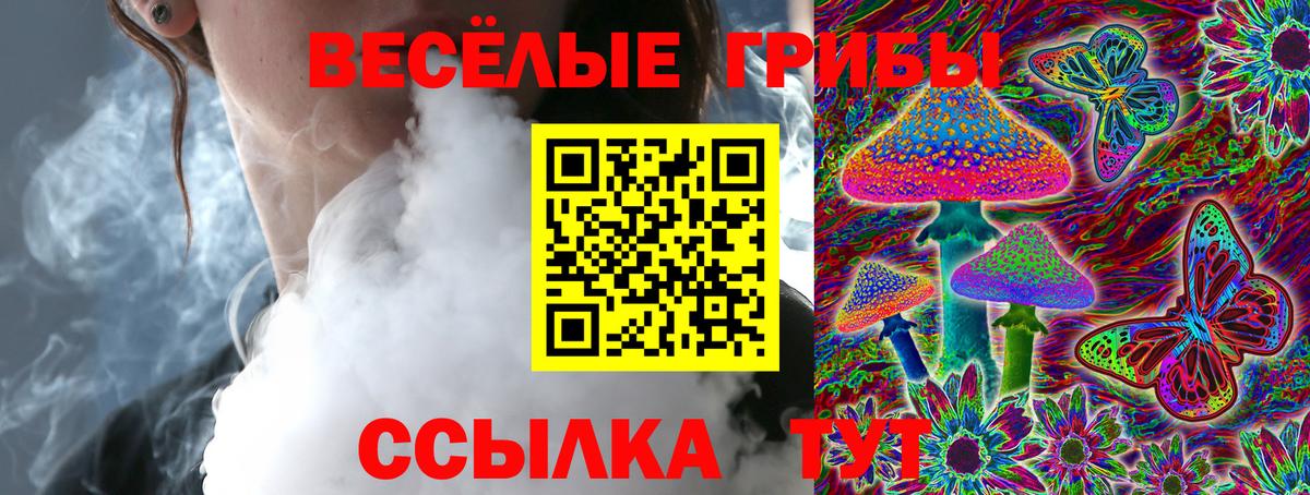 где найти наркотики  Вход с VPN  Псилоцибиновые грибы MAGIC MUSHROOMS  Самара  Галлюциногенные грибы мицелий 